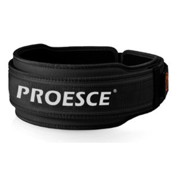 Power Armor Belt (Proesce)