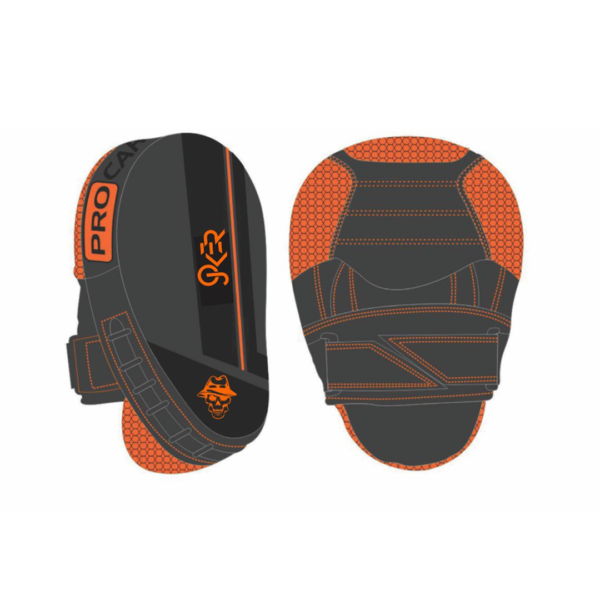 Boxing punch mitts