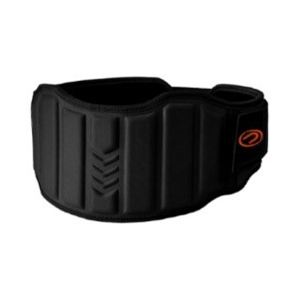 Training Belt (Proesce)