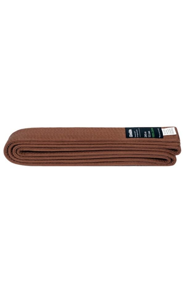 MIZUNO belt brown,VJ