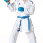 Karategi, TOKAIDO KUMITE MASTER K1, WKF