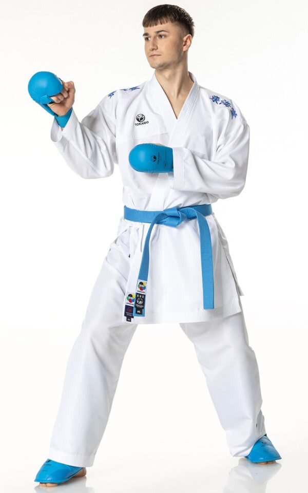 Karategi, TOKAIDO KUMITE MASTER K1, WKF